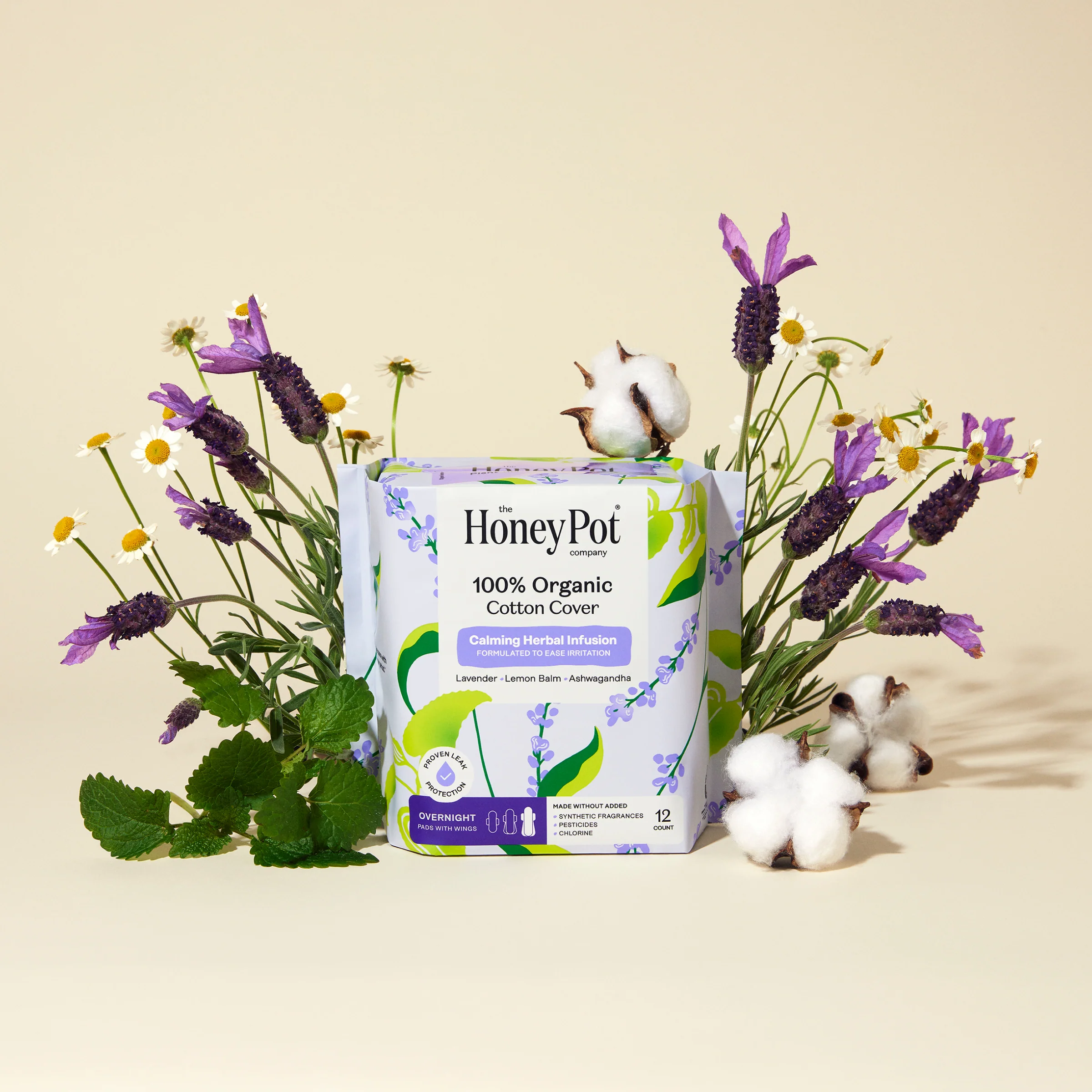 Calming Nighttime Ritual - Image 4